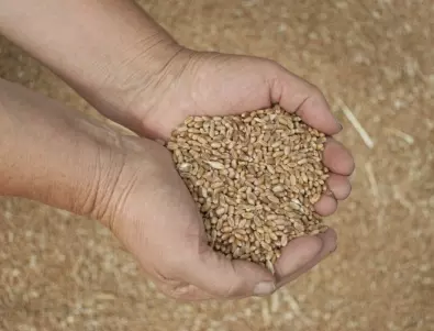 ООН се надява на удължаване на сделката за износ на зърно от Украйна