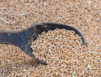 НАП денонощно наблюдава износа на зърно