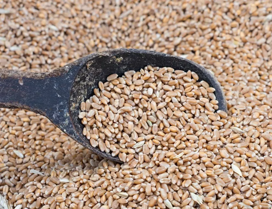 ООН за пореден път призова Русия да разблокира износа на зърно от Украйна