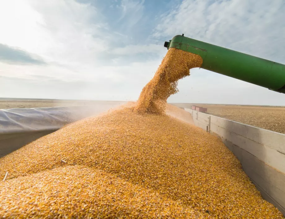 Зърнопроизводителите готвят протест, искат подкрепа в кризата от украинския внос