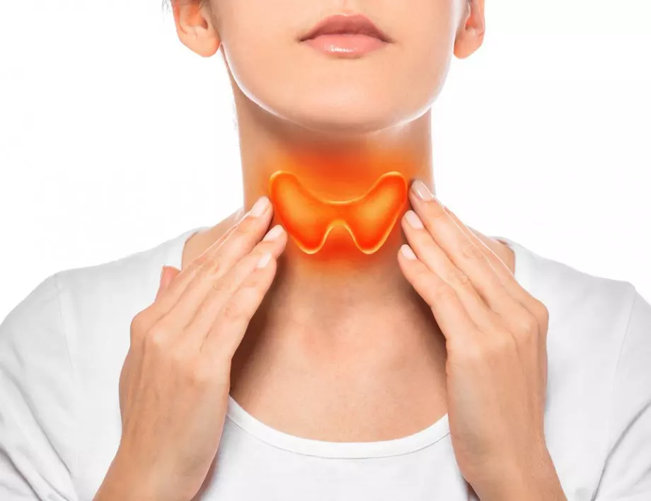 4 здравословни навика, които подобряват състоянието на щитовидната жлеза