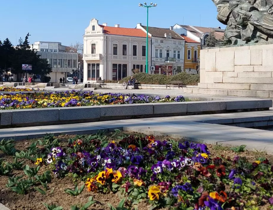 Започна пролетната подготовка на цветните и зелени площи във Видин