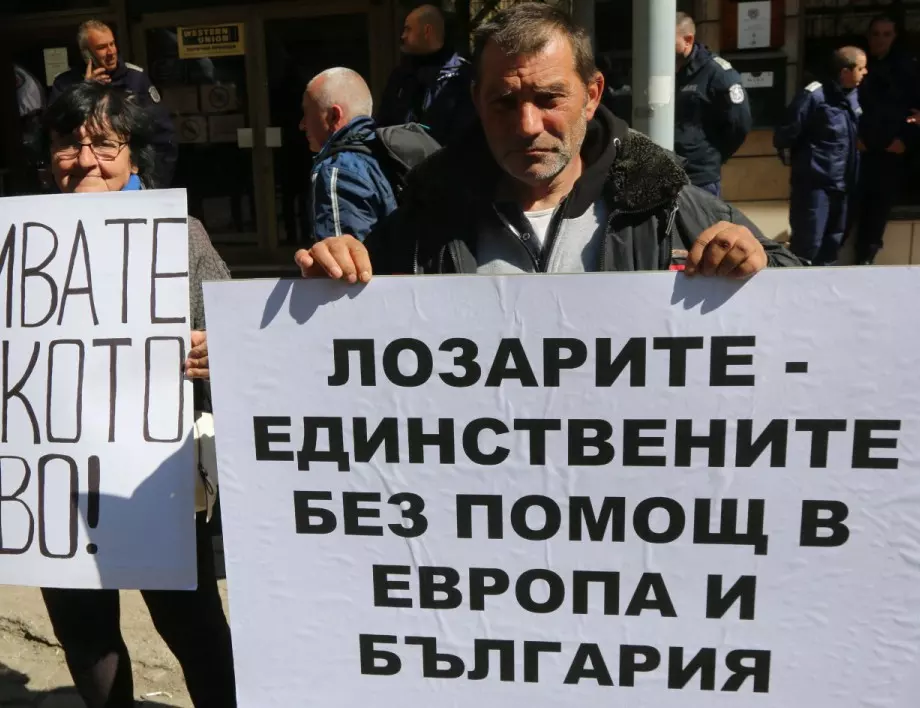 "Национално сдружение на българските лозари" излиза на протест