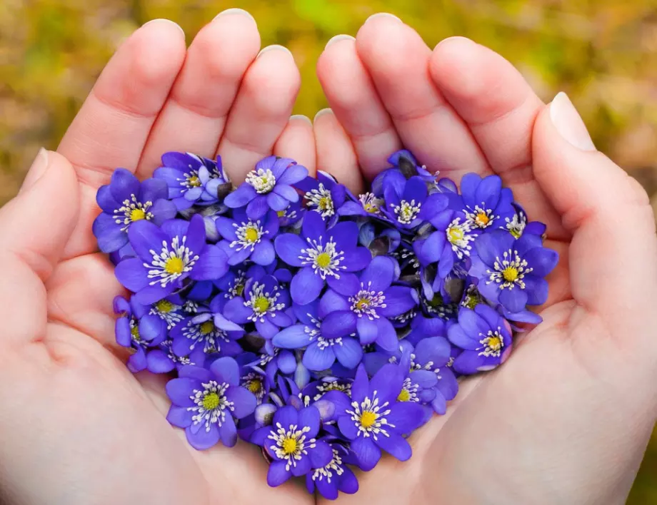 Прогноза за времето - 1 юли (петък)