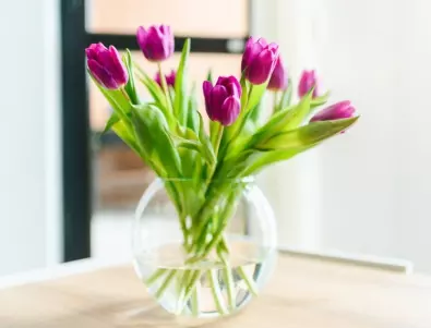 9 професионални съвета от флорист за свежи цветя по-дълго време