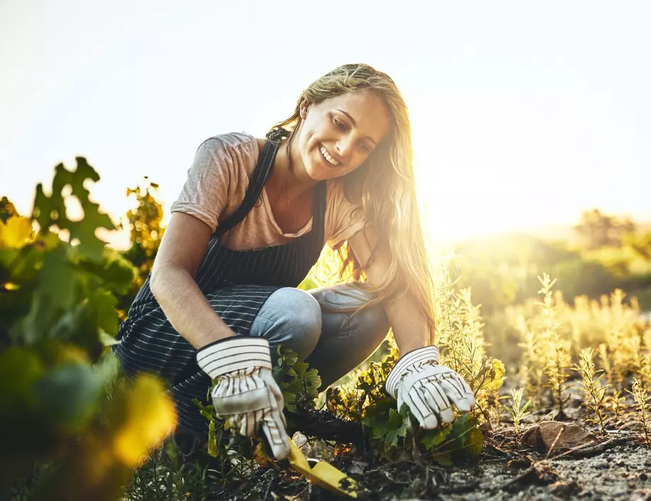 5 ползи за здравето от градинарството