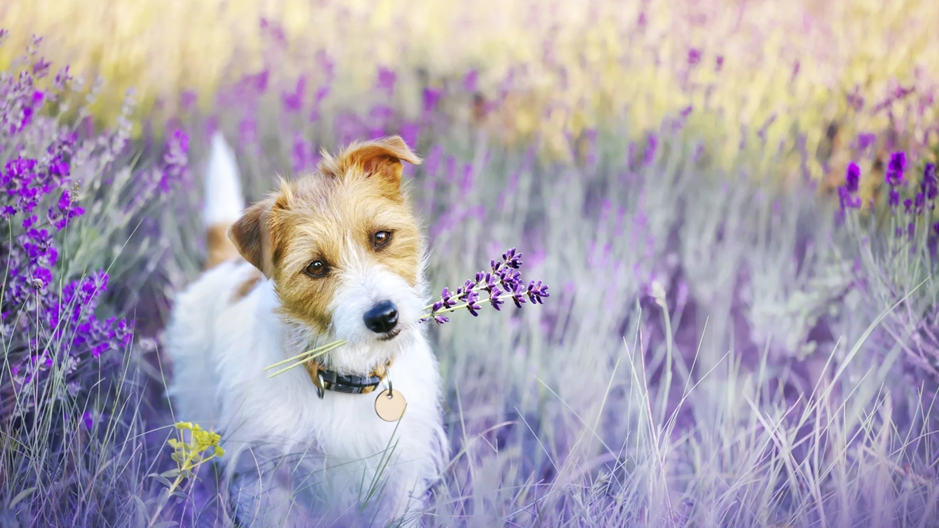 Прогноза за времето - 30 април 2024 г. (вторник)