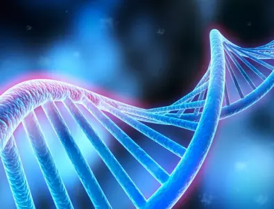 Жена на шега си направила ДНК тест и се шокира от резултата