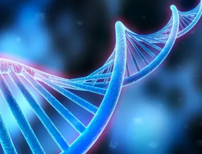Генетичните мутации, които насърчават възпроизводството, съкращават човешкия живот