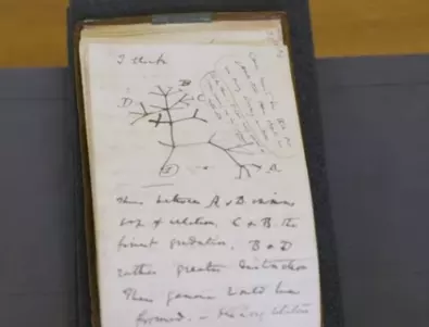 Откраднати бележници на Дарвин бяха върнати в Кеймбридж след 20 години (ВИДЕО)