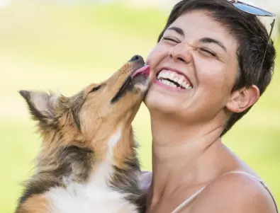 Позволявате ли на кучето да ви целува? Учени предупреждават, че е опасно