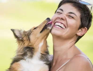 Целуването на куче може да e ОПАСНО, ето с какво може да се заразите