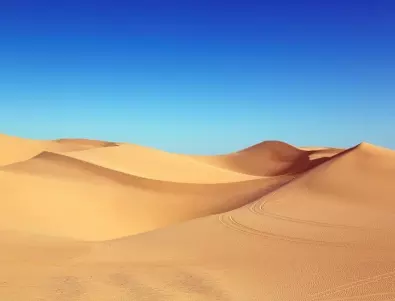 Как Сахара се е превърнала от гъста гора в пустиня?