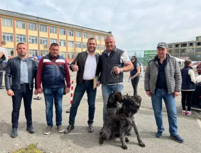 Община Костинброд организира изложба на кучета