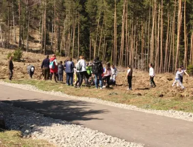 Близо 500 ученици се включиха в кампания по залесява в Самоков