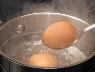 Научете колко протеин има в едно обикновено яйце!