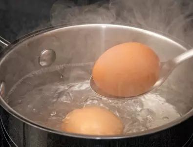 Мият ли се яйцата преди готвене - ето отговора!