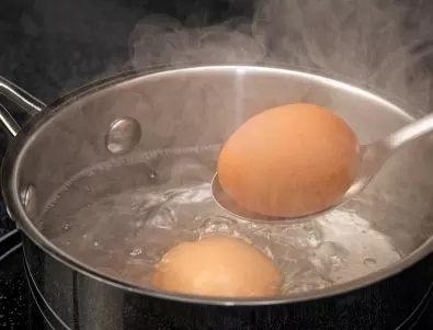В каква вода се варят яйцата - топла или студена