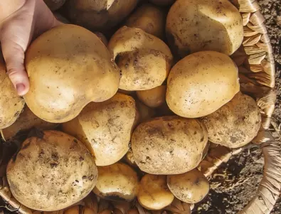Когато картофите започнат да цъфтят, разпръснете това в градината и вижте какво ще се случи