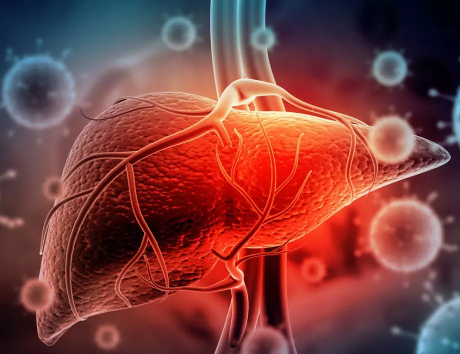 СЗО: Мистериозно чернодробно заболяване поразява деца в Европа и САЩ