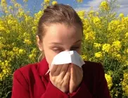 Страдате от алергии през пролетта? Направете това и ще успокоите симптомите