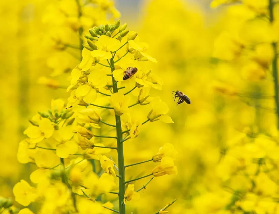 Прогноза за времето - 27 април (сряда)