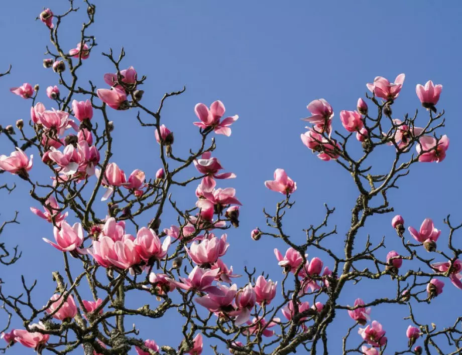 Времето утре - 27 април 