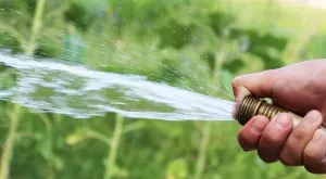 Водата за поливане е много скъпа: Земеделският министър още не отива при протестиращи фермери