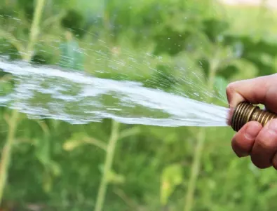 Как да разберете ако прекалявате с поливането в градината