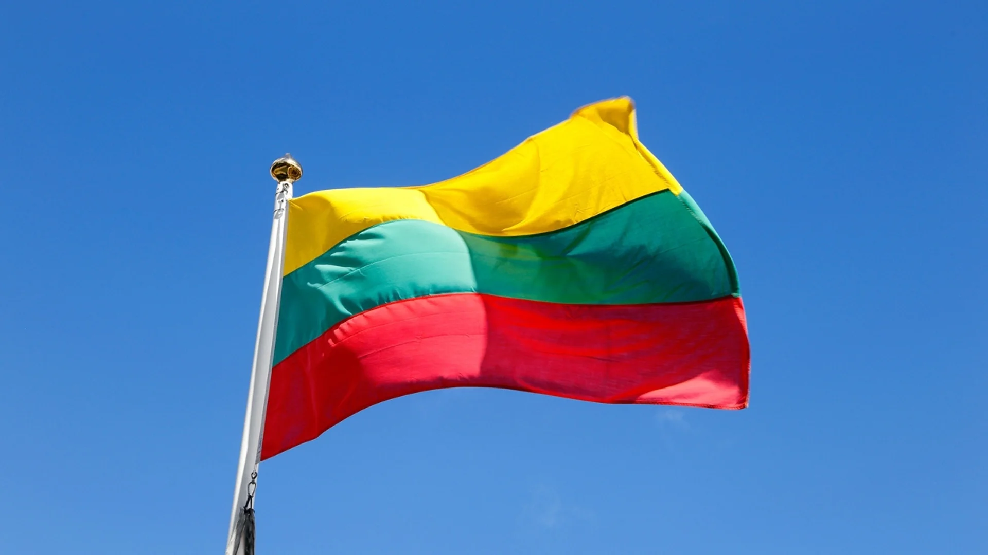 Президентски избори се провеждат в Литва 