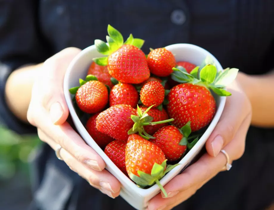 Какво трябва да знаем за пролетното засаждане на ягоди?