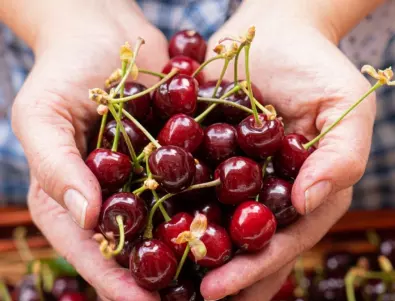 Това са най-здравословните причини, които ще ви накарат да ядете череши всеки ден