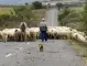 Украинската помощ за земеделците и животновъдите е налице, твърди служебното правителство
