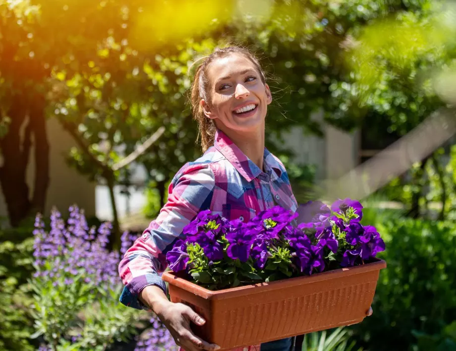 Основи при създаване на цветна градина във вашия двор