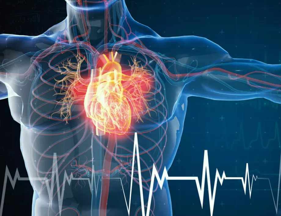 Вредните навици, които разрушават здравето на сърцето