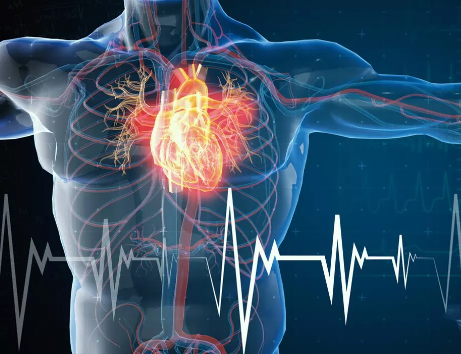 Учени: Застрашени сте от сърдечни заболявания, ако НЕ правите това