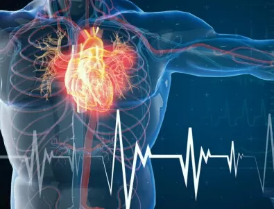 Учени: Най-полезните храни за сърцето влошават симптомите на това заболяване