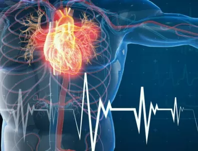 Учени разкриха в каква доза витамин Д предпазва сърцето