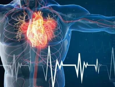 Кардиолог разкри как високата кръвна захар влияе на сърцето