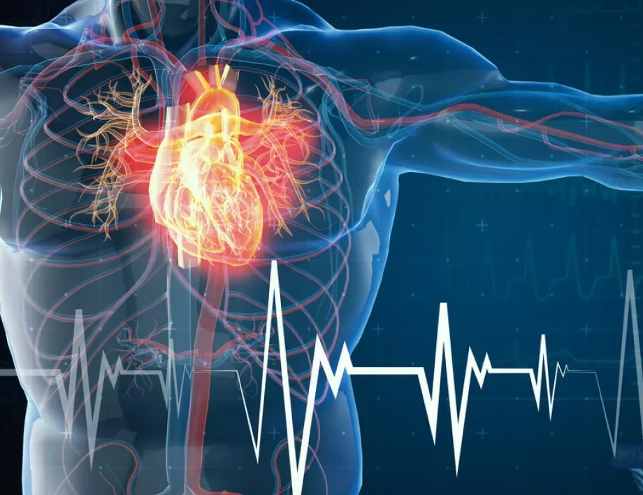 Кардиолог разкри как високата кръвна захар влияе на сърцето