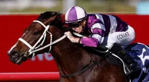 2022/06/04/0125312001654320305