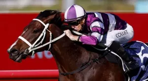 Спортът по ТВ - Ето какво да гледаме днес, 10 август, сряда