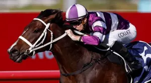 Спортът по ТВ - Ето какво да гледаме днес, 20 август, неделя