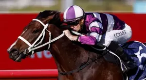 Спортът по ТВ - Ето какво да гледаме днес, 19 ноември, събота