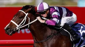 2022/06/04/0125312001654320305