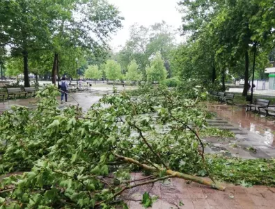 Над 300 души и цялата общинска техника се борят с щетите от бурята в Русе