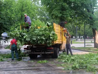 Продължава премахването на паднали от бурята дървета в Русе