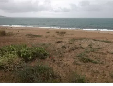 Екоактивист пита къде изчезнаха 57% от дюните на къмпинг Нестинарка