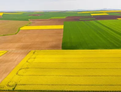 България рискува да загуби десетки милиони от ЕС за земеделие 