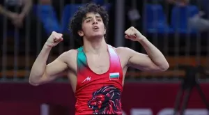 {{ otherArticle[0].article.title }}